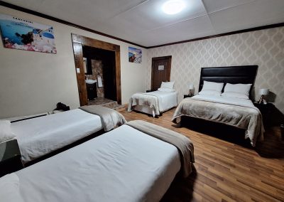 @7A Jameson Guesthouse in Kimberley - Room 6_Santorini (2)